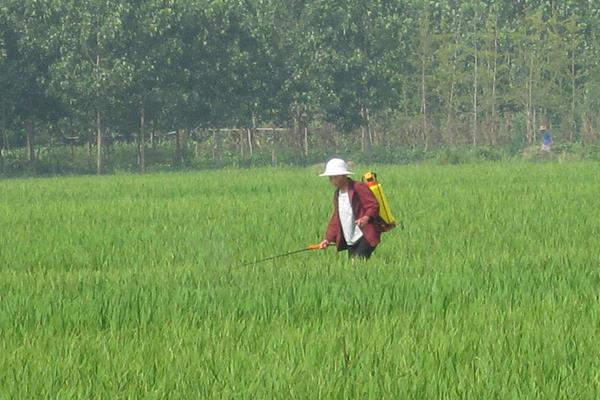 除草劑種類有哪幾種?怎么分類