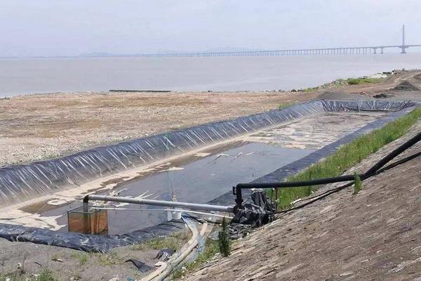 南美白對蝦養殖方法，掌握這7點輕松提高產量和收益