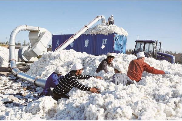 6種常見的棉花機械加工設備,有效提升各環節效率