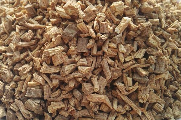 黨參種植日常管理及注意事項(xiàng)