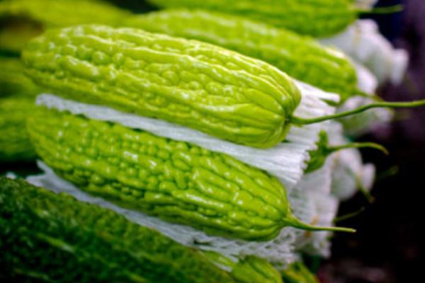 三月份適合種植的蔬菜