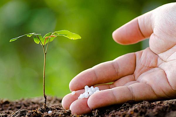 復(fù)合肥地下肥效期多長(zhǎng)