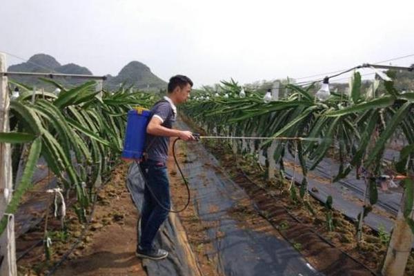 果樹施肥時間和方法