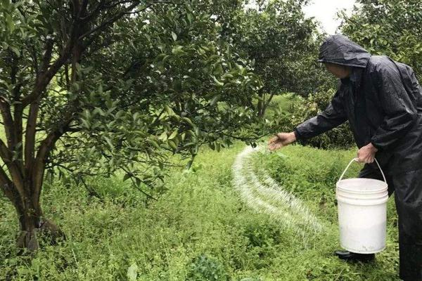 果樹施肥時間和方法