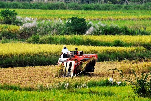 農(nóng)事類詞語