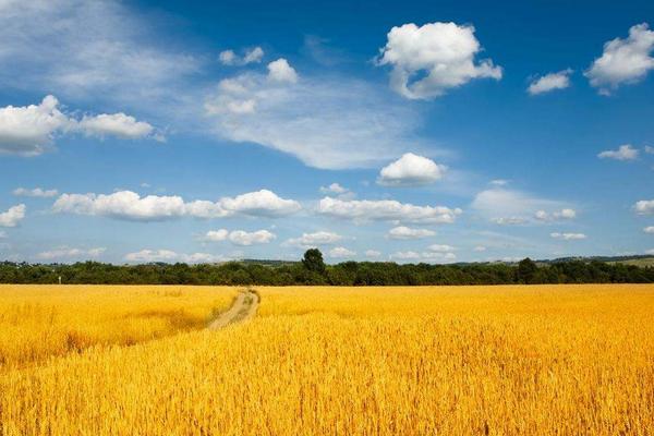 農(nóng)事類詞語