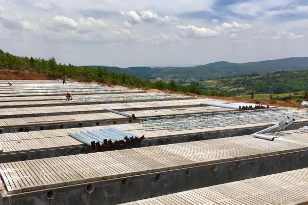 如何下載溫氏同呼