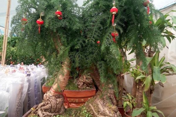 農貿市場做什么生意好？5個農貿市場賺錢又好做的生意