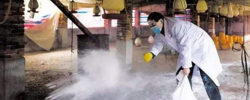 養殖生石灰消毒怎么用，兌水使用效果好