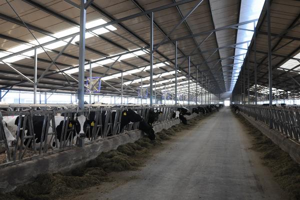 規模養殖場標準，大小是如何界定的？