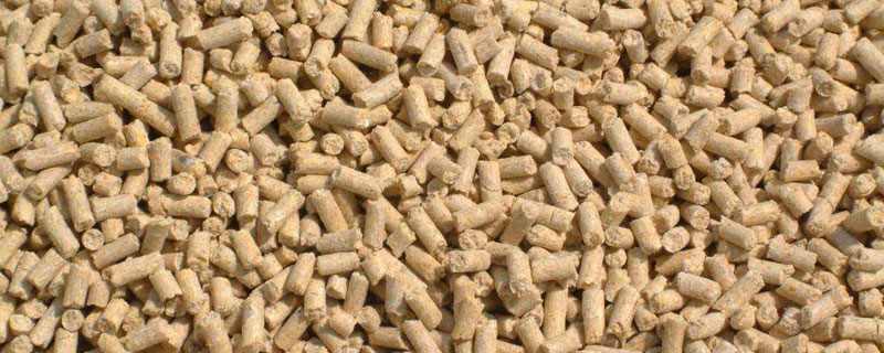 酶制劑的應用，遍布食品、飼料及紡織工業