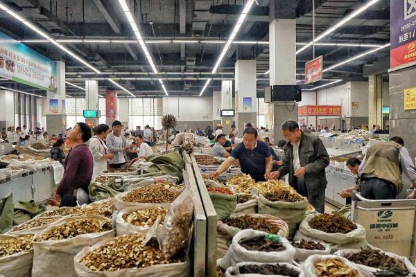 四川適合養(yǎng)殖什么