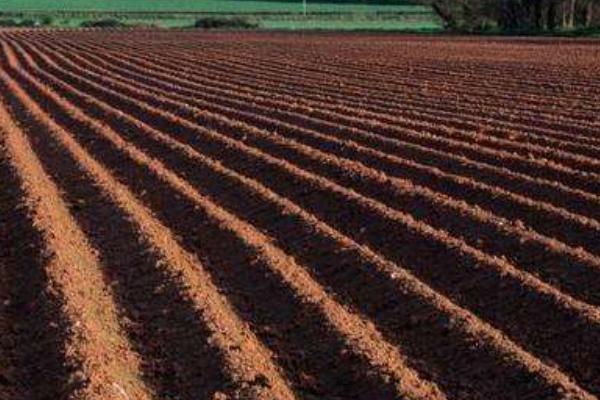 勁駝復合肥是哪產的