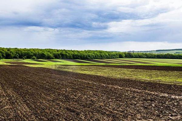 勁駝復合肥是哪產的