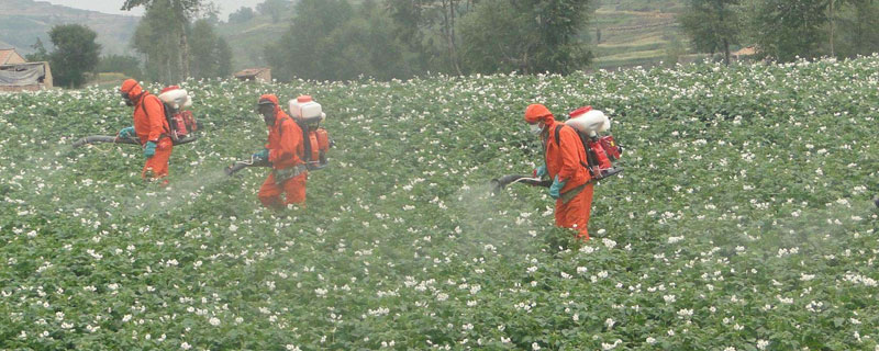 滅多威為什么被禁用，對(duì)人體有哪些危害