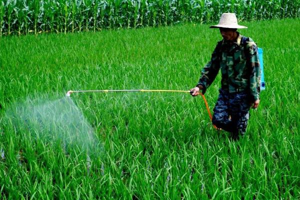 農(nóng)藥露娜森一桶對(duì)多少