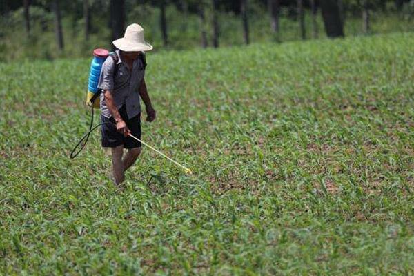 農(nóng)藥露娜森一桶對(duì)多少