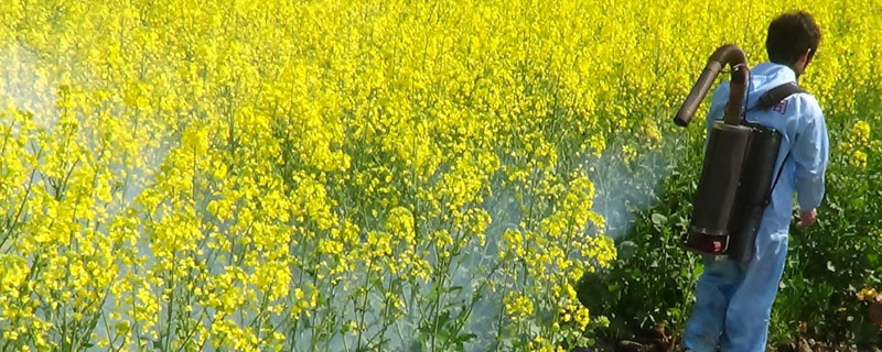 油菜菌核病特效藥，咪鮮胺和使百克能有效防治