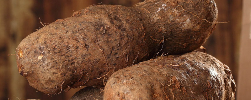 山藥無土懸空種植技術(shù)，套管是關(guān)鍵