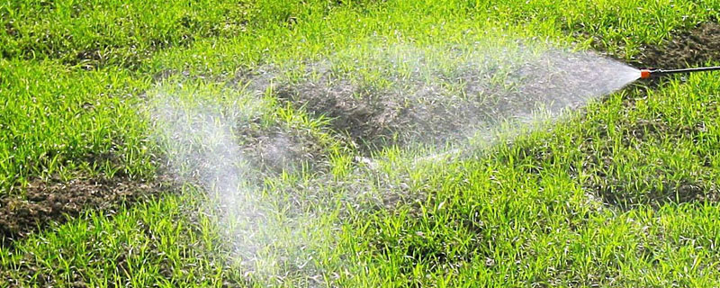 金都爾除草劑使用范圍及注意事項