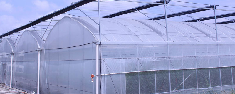 自制大棚增溫塊配方，用牛油鋸末做