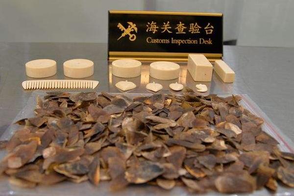 穿山甲鱗片多少一克