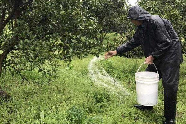 硝酸磷鉀肥如何使用?附作用及效果