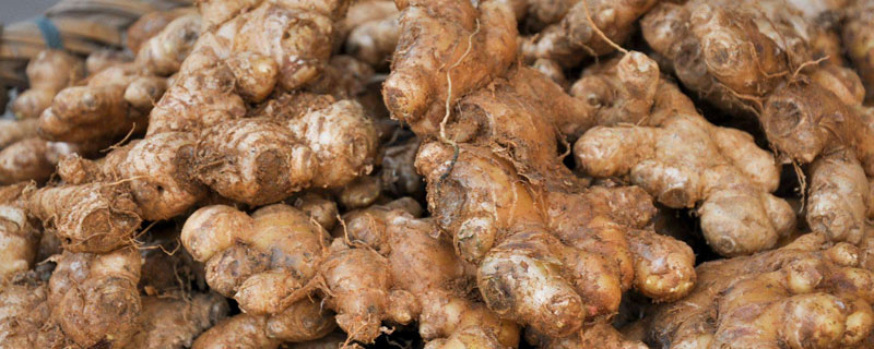 姜種用什么藥消毒？3種浸種消毒方法，常用波爾多液