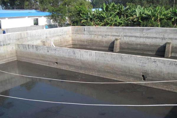 雞屎肥的功效與作用