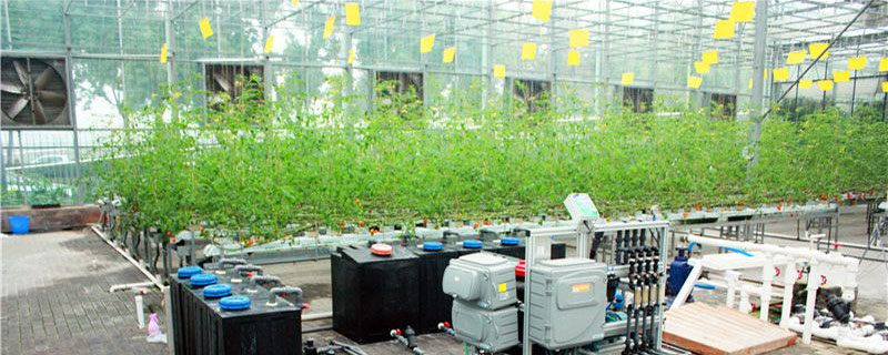 沙培蔬菜種植技術，常用小細流式沙培和水汽式沙培