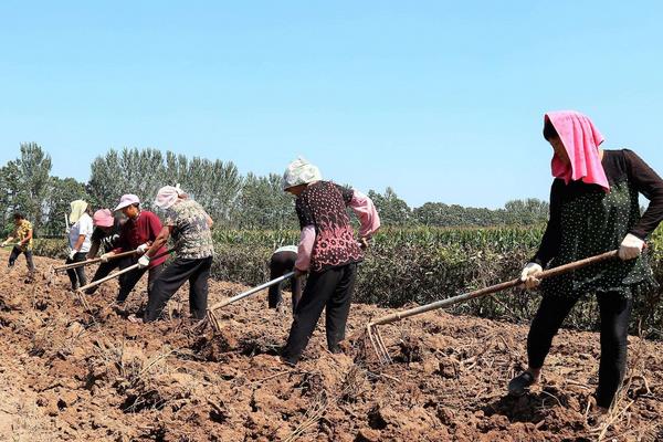 農(nóng)事類詞語有哪些
