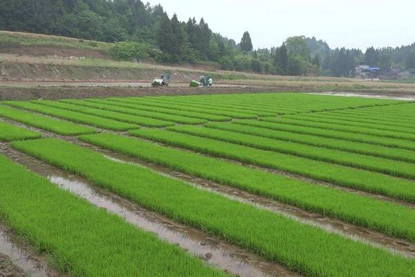 農(nóng)事類詞語