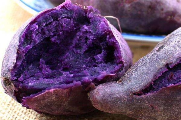 農(nóng)業(yè)種植什么