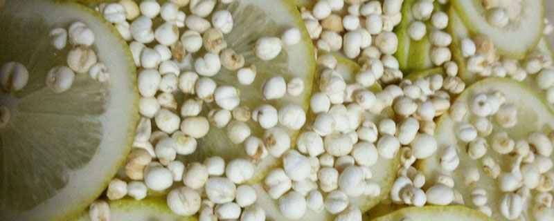 檸檬籽怎么種？選自然熟透的檸檬果實取籽播種