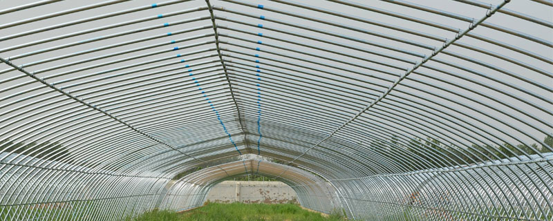 大棚膜水珠處理法，掌握這3種方法告別大棚水珠現象