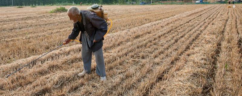 降解除草劑殘留的辦法
