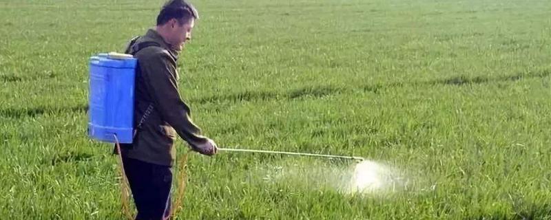 戊唑醇的用量及注意事項