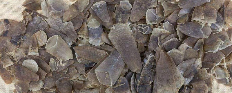 穿山甲鱗片多少一克？平均價(jià)格為7.5元左右，各等級不同