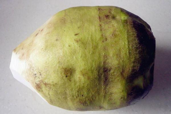 芥菜農村叫什么菜