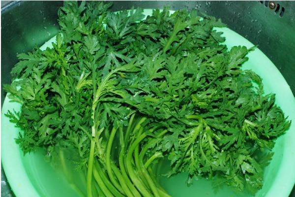 芥菜農村叫什么菜