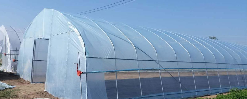 簡易大棚搭建方法，竹架鋼架各有優(yōu)劣