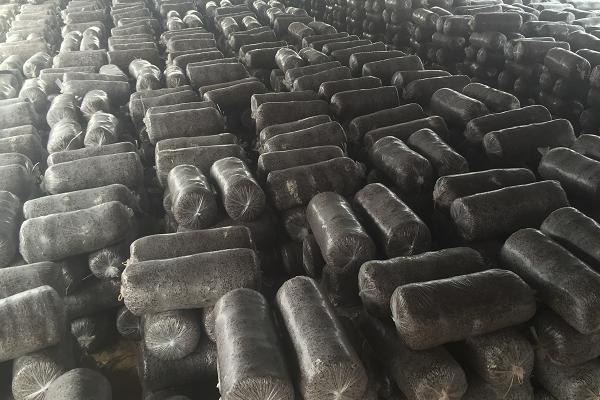 袋裝平菇種植技術