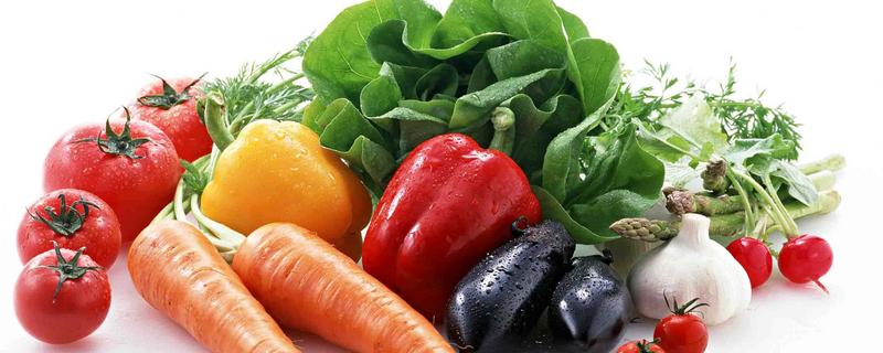 蔬菜種植時間表