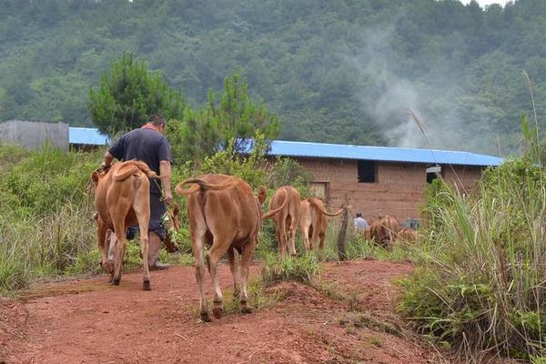 養(yǎng)殖貸款政策