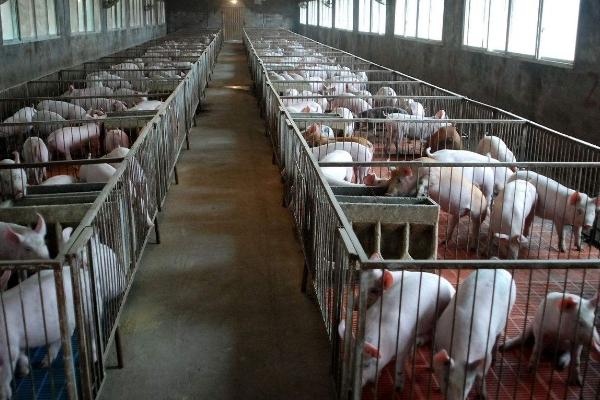 養(yǎng)殖貸款政策