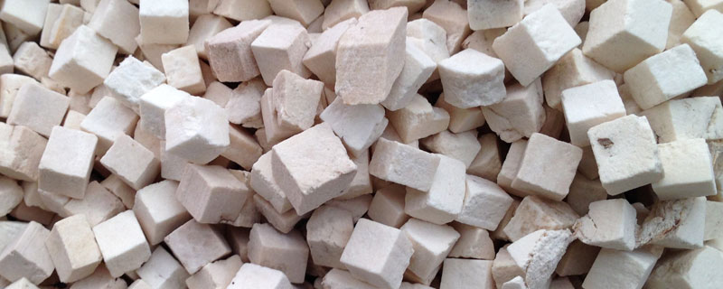 活松樹茯苓種植技術及注意事項