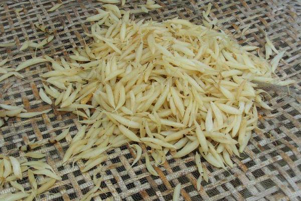 三年天冬畝產量產值