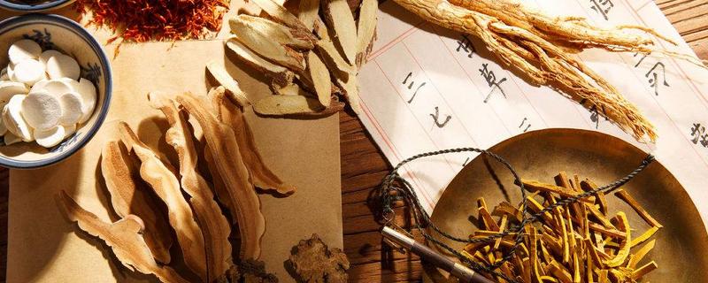 種植什么藥材好