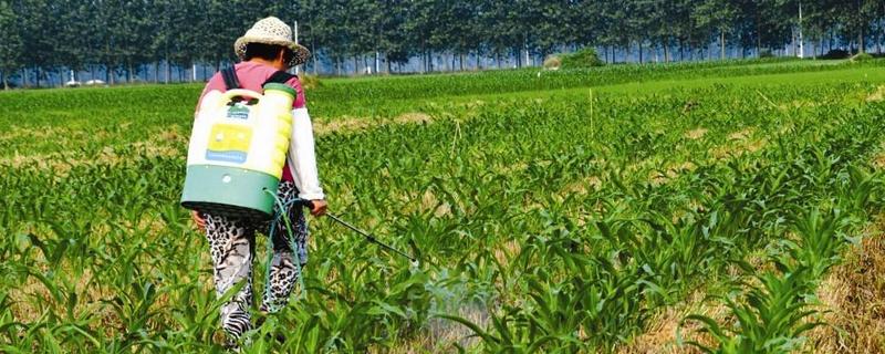除草劑配方，藥效強效果好