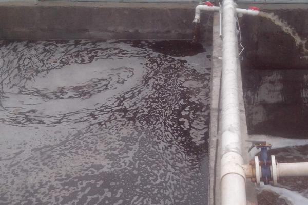 養豬場養殖廢水處理的一點認識